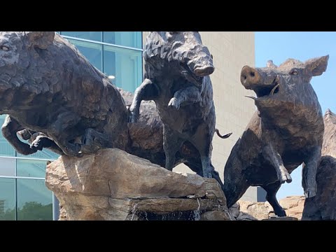 LIVE From The Donald W. Reynolds Arkansas Stadium North Endzone — Arkansas Football Podcast | Tusk Talk With Ty